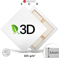 3D pictură pe pânză pe cadru EKO light